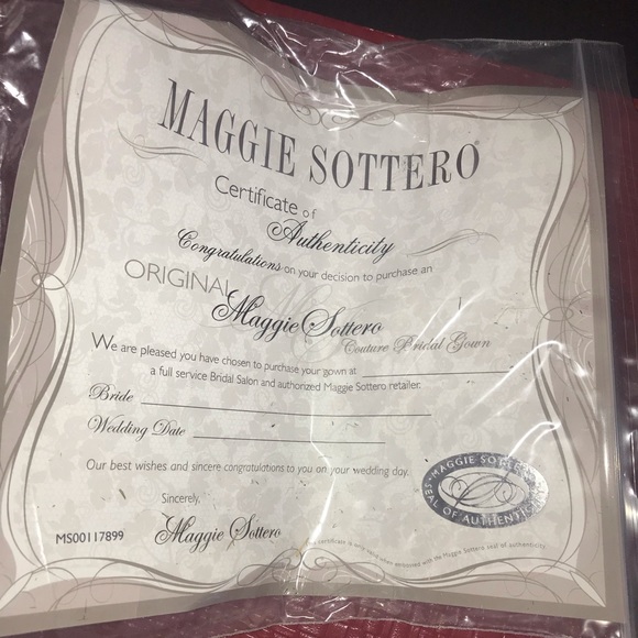 Beautiful Gown! - Picture 2 of 6